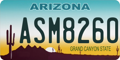 AZ license plate ASM8260