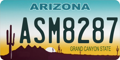 AZ license plate ASM8287