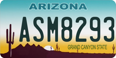 AZ license plate ASM8293