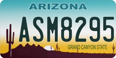 AZ license plate ASM8295