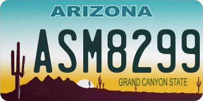 AZ license plate ASM8299