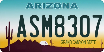 AZ license plate ASM8307