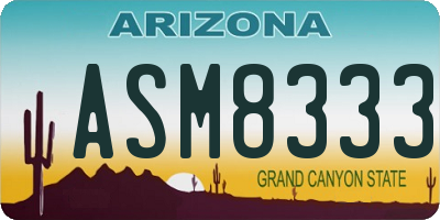 AZ license plate ASM8333