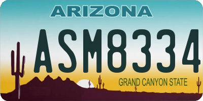 AZ license plate ASM8334