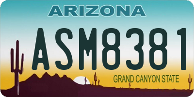 AZ license plate ASM8381