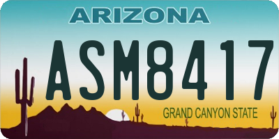 AZ license plate ASM8417