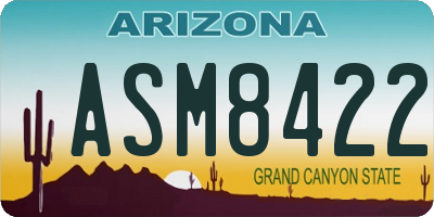 AZ license plate ASM8422