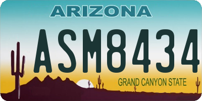 AZ license plate ASM8434