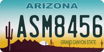 AZ license plate ASM8456