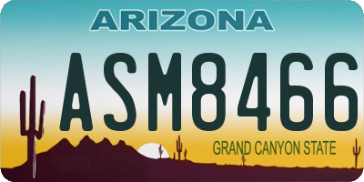 AZ license plate ASM8466