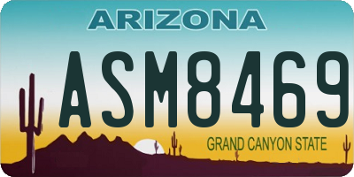 AZ license plate ASM8469
