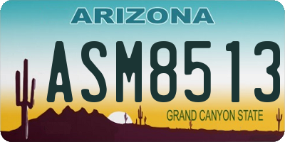 AZ license plate ASM8513