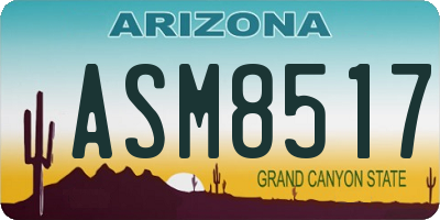 AZ license plate ASM8517