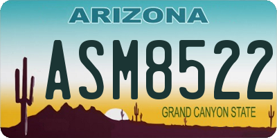 AZ license plate ASM8522