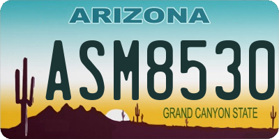 AZ license plate ASM8530