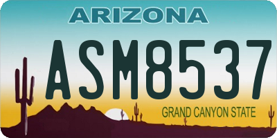 AZ license plate ASM8537