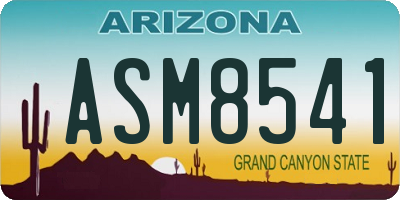 AZ license plate ASM8541