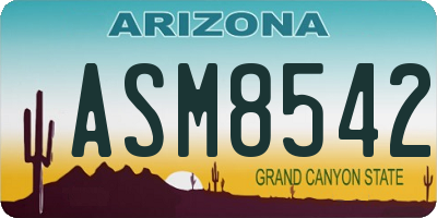 AZ license plate ASM8542