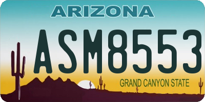 AZ license plate ASM8553