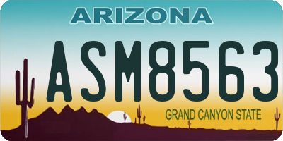AZ license plate ASM8563