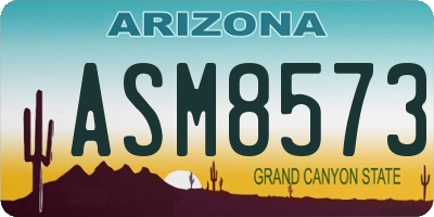 AZ license plate ASM8573
