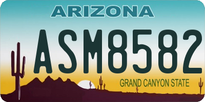 AZ license plate ASM8582