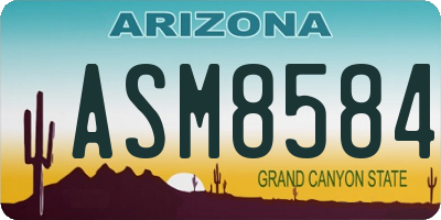AZ license plate ASM8584