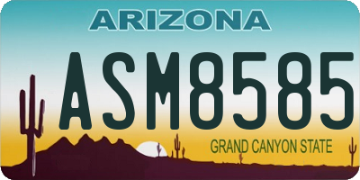 AZ license plate ASM8585