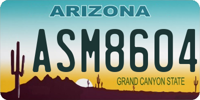 AZ license plate ASM8604