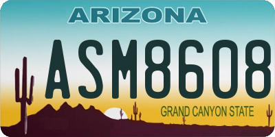 AZ license plate ASM8608