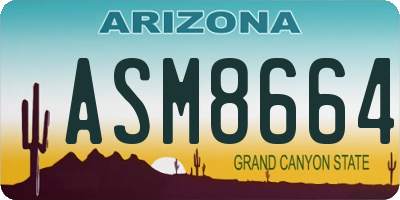 AZ license plate ASM8664