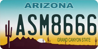 AZ license plate ASM8666