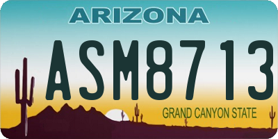 AZ license plate ASM8713