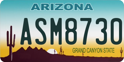 AZ license plate ASM8730