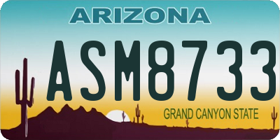 AZ license plate ASM8733