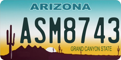 AZ license plate ASM8743