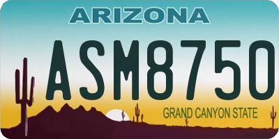 AZ license plate ASM8750