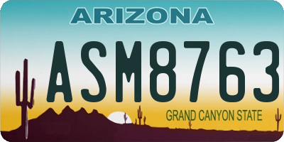 AZ license plate ASM8763