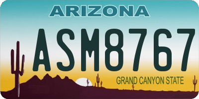 AZ license plate ASM8767