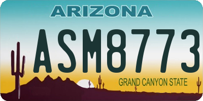 AZ license plate ASM8773