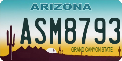 AZ license plate ASM8793