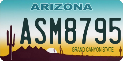 AZ license plate ASM8795