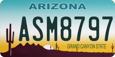 AZ license plate ASM8797