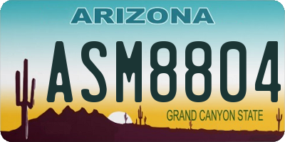 AZ license plate ASM8804