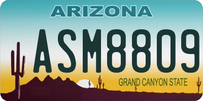 AZ license plate ASM8809