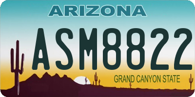 AZ license plate ASM8822