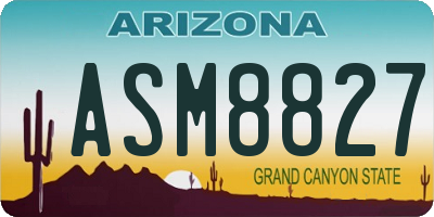 AZ license plate ASM8827