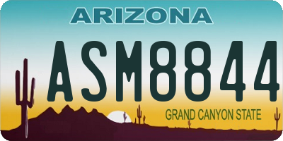 AZ license plate ASM8844