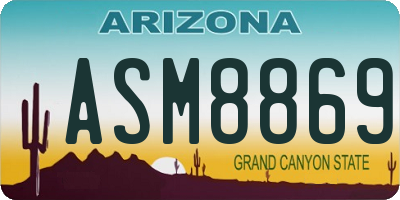AZ license plate ASM8869
