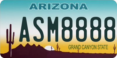 AZ license plate ASM8888